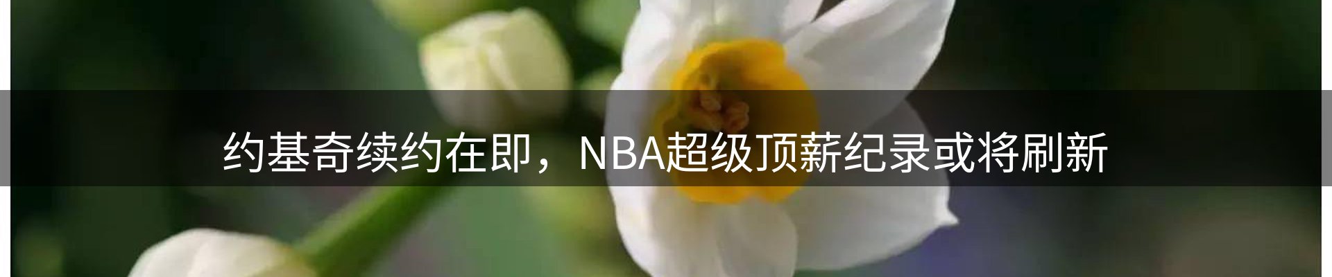 资讯动态