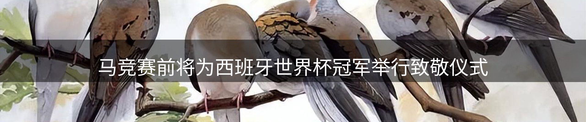 资讯动态